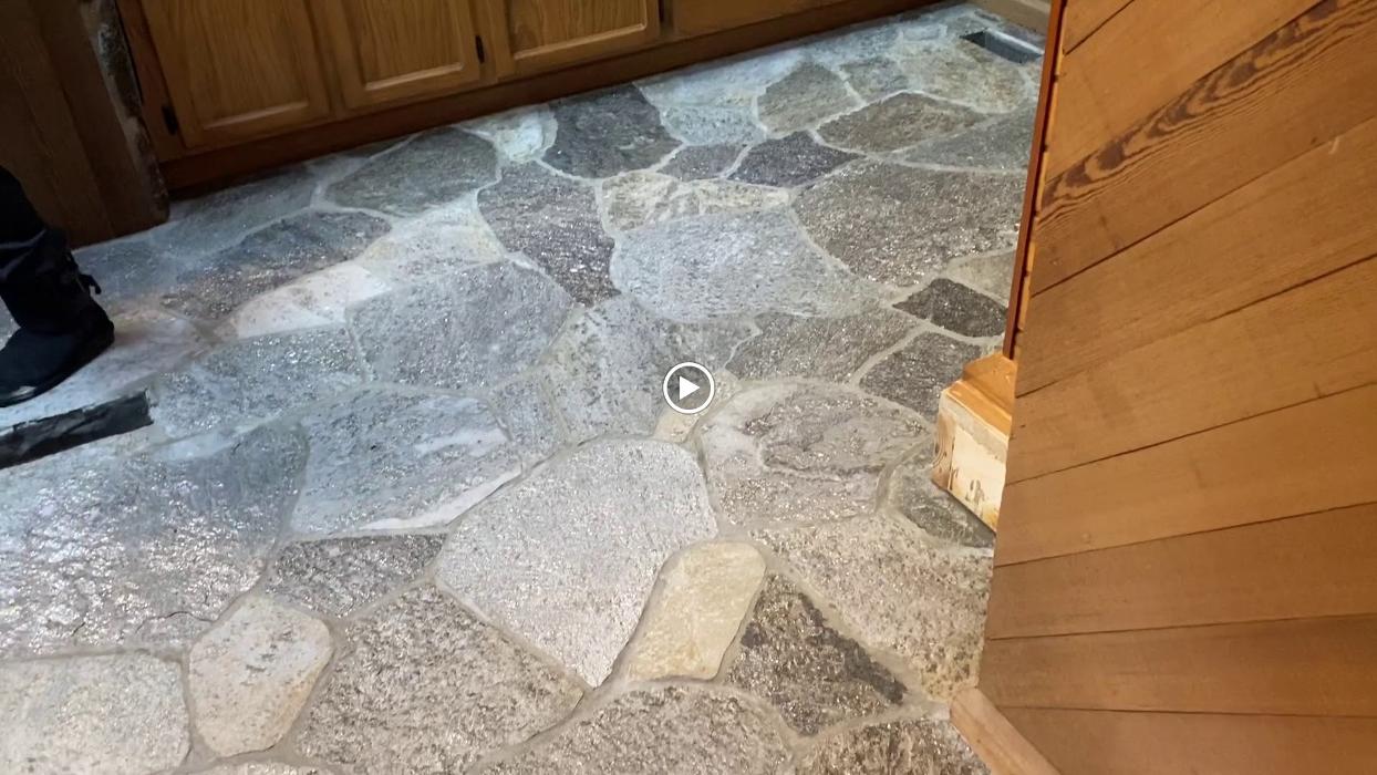 Driven Carpet Cleaning Image