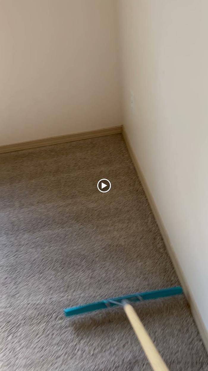 Driven Carpet Cleaning Image