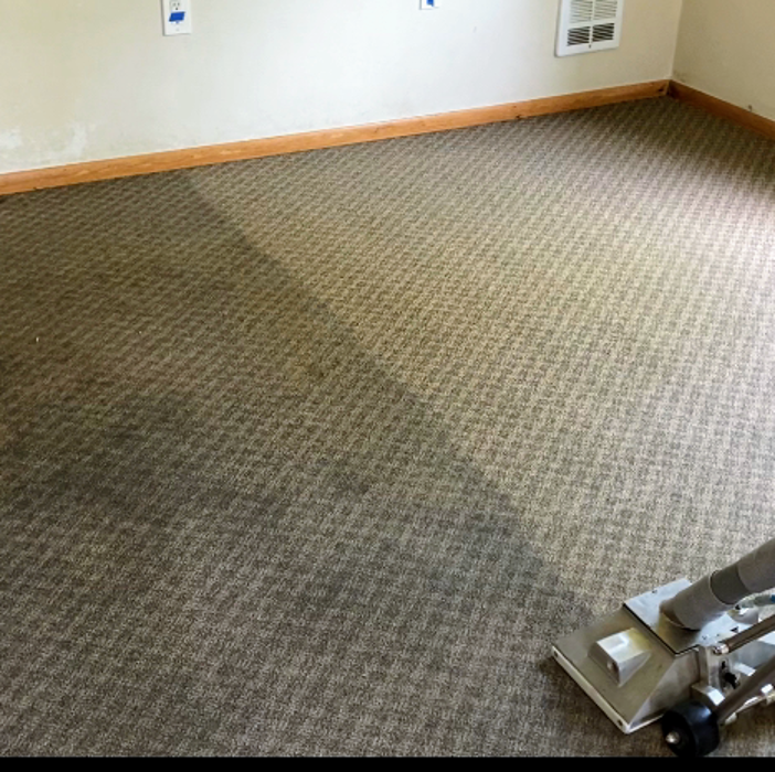 Driven Carpet Cleaning Image
