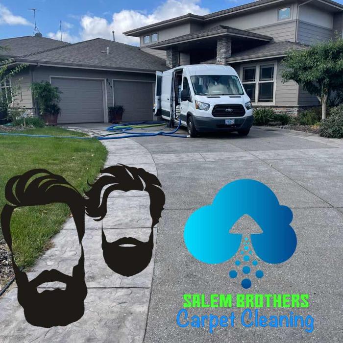 Driven Carpet Cleaning Image