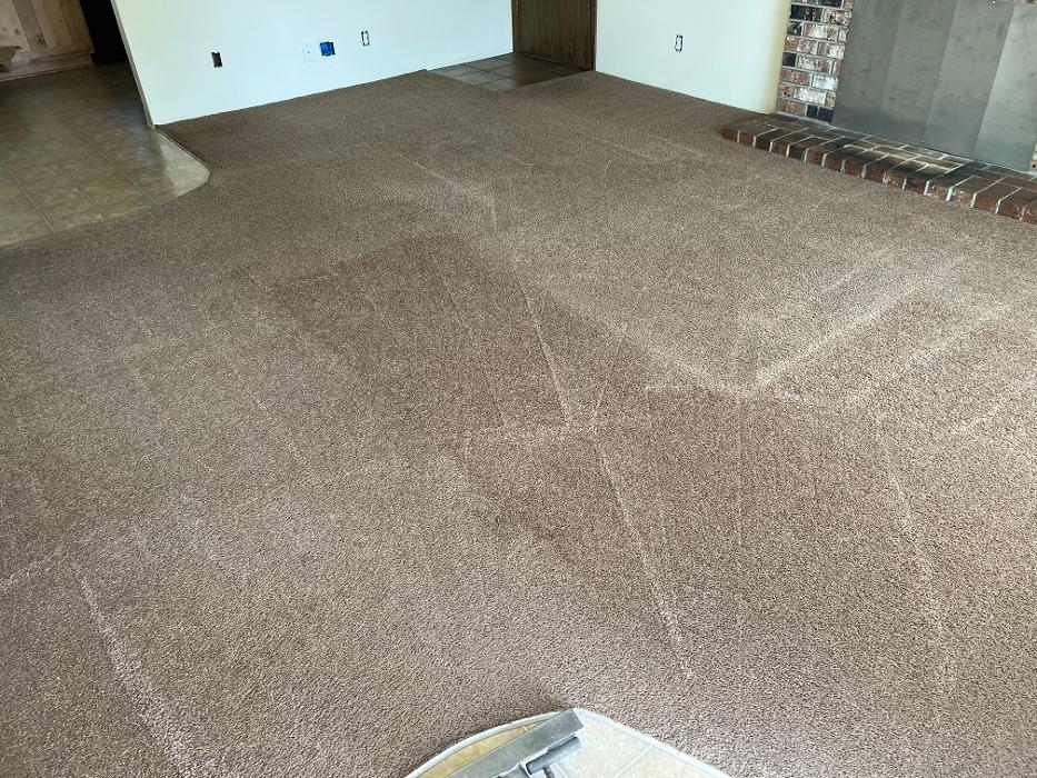Driven Carpet Cleaning Image