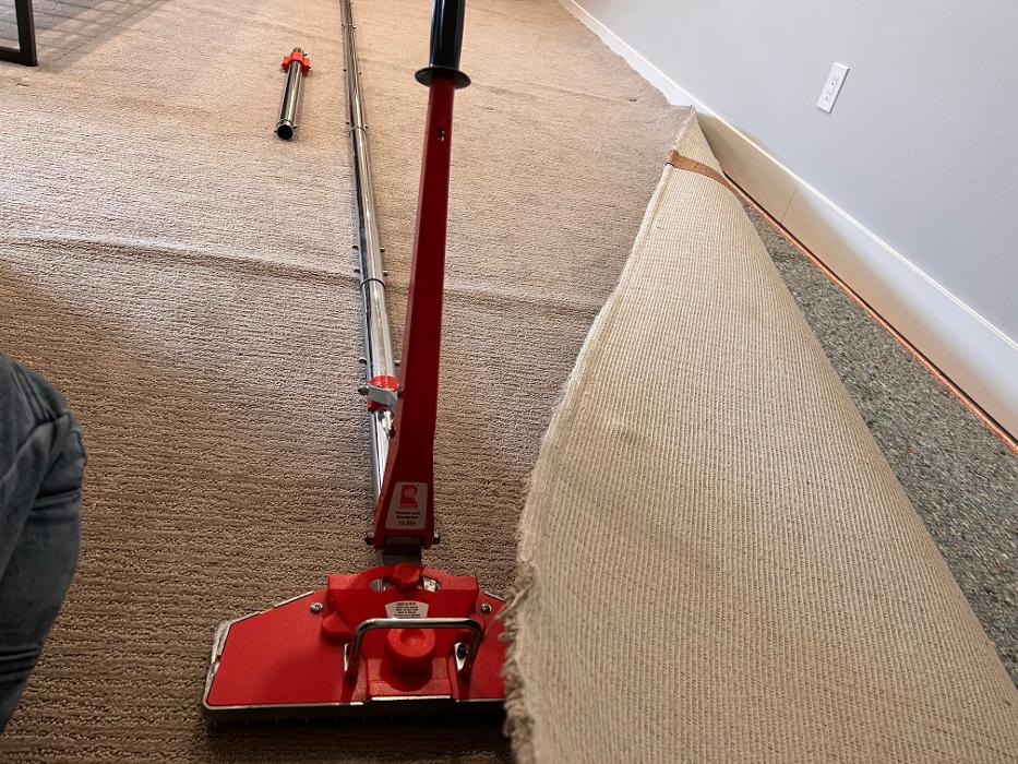 Driven Carpet Cleaning Image