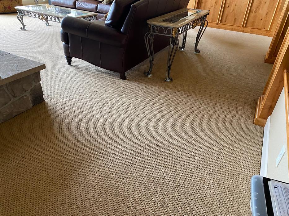Driven Carpet Cleaning Image