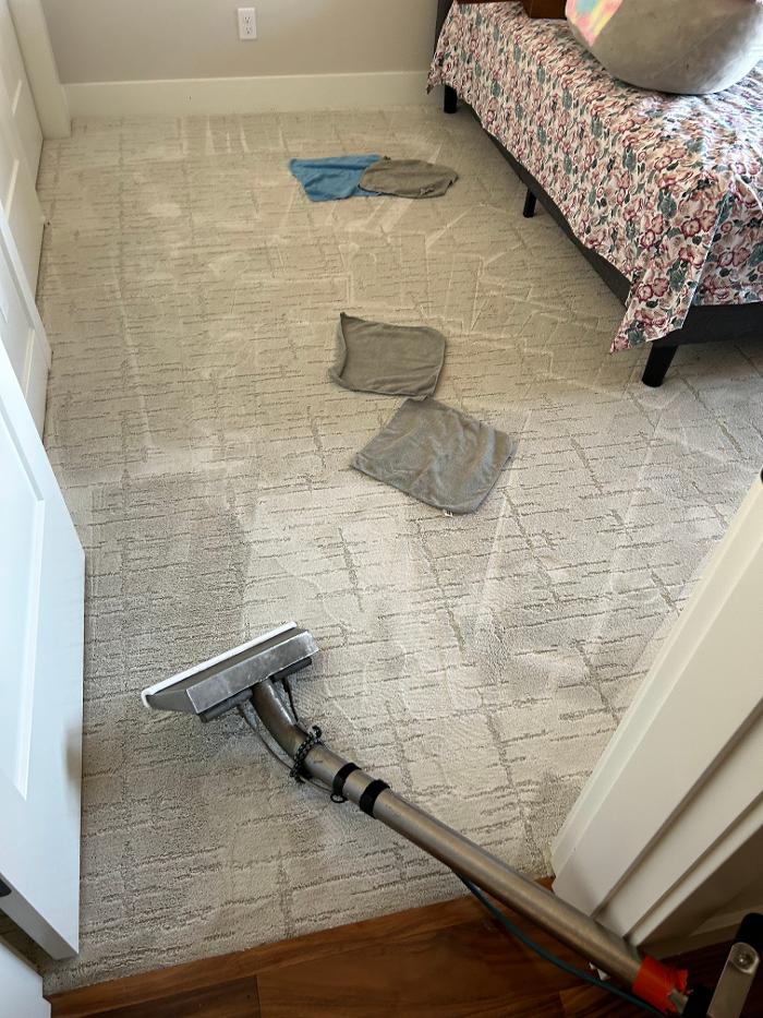 Driven Carpet Cleaning Image