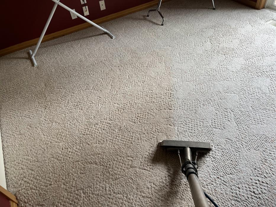 Driven Carpet Cleaning Image