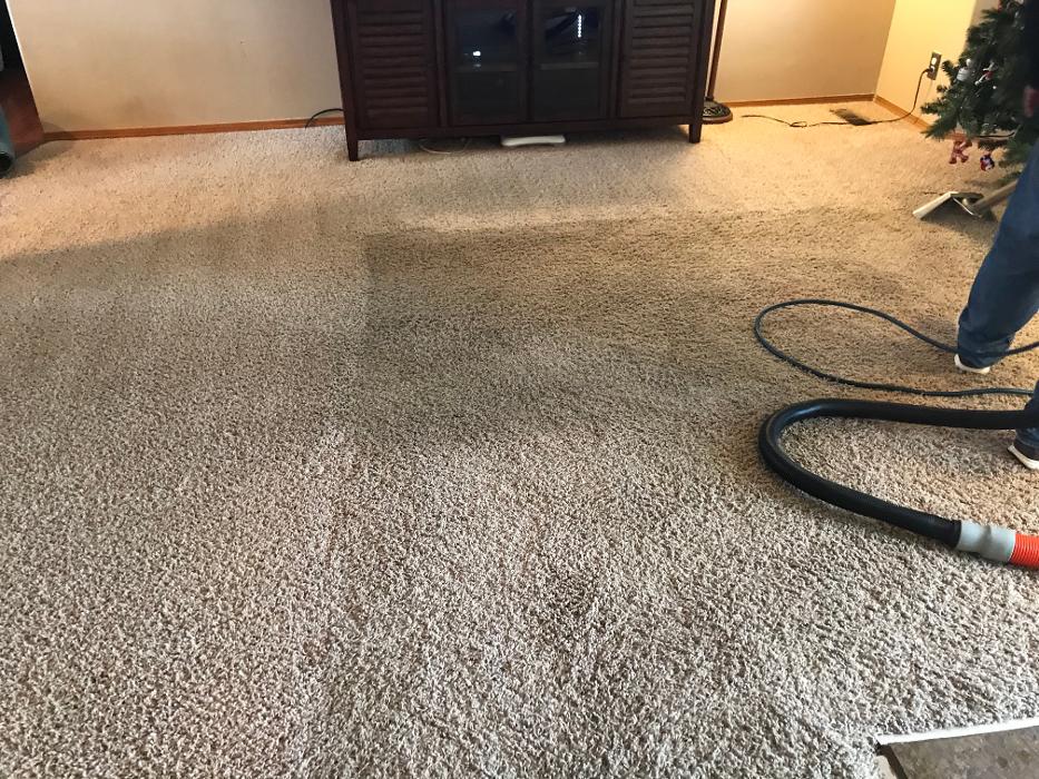 Driven Carpet Cleaning Image