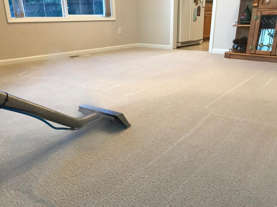 Driven Carpet Cleaning Image
