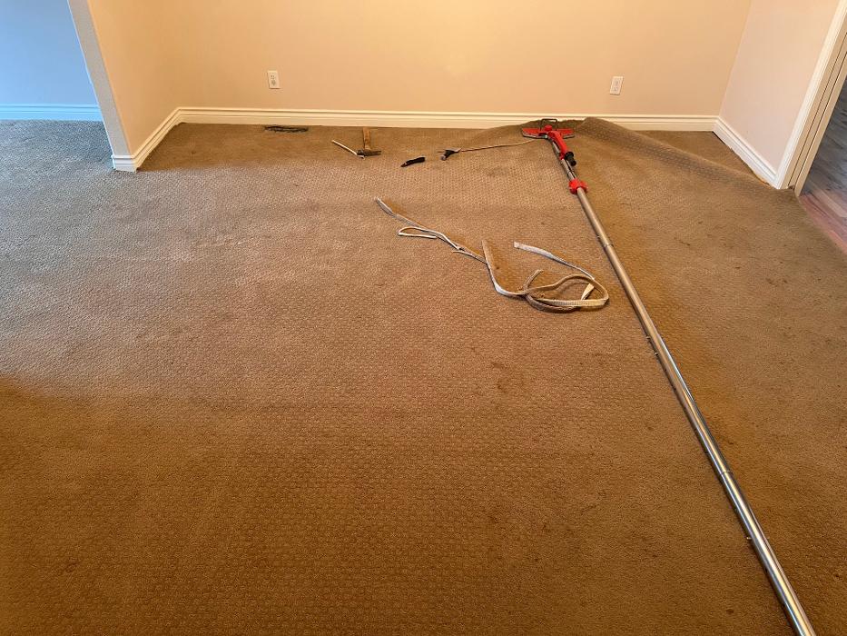 Driven Carpet Cleaning Image