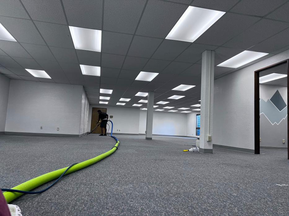 Driven Carpet Cleaning Image