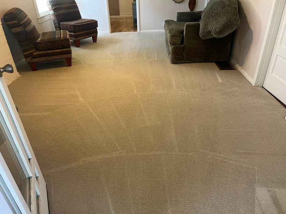 Driven Carpet Cleaning Image