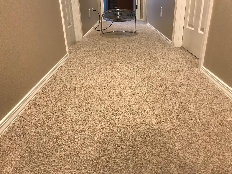 Driven Carpet Cleaning Image