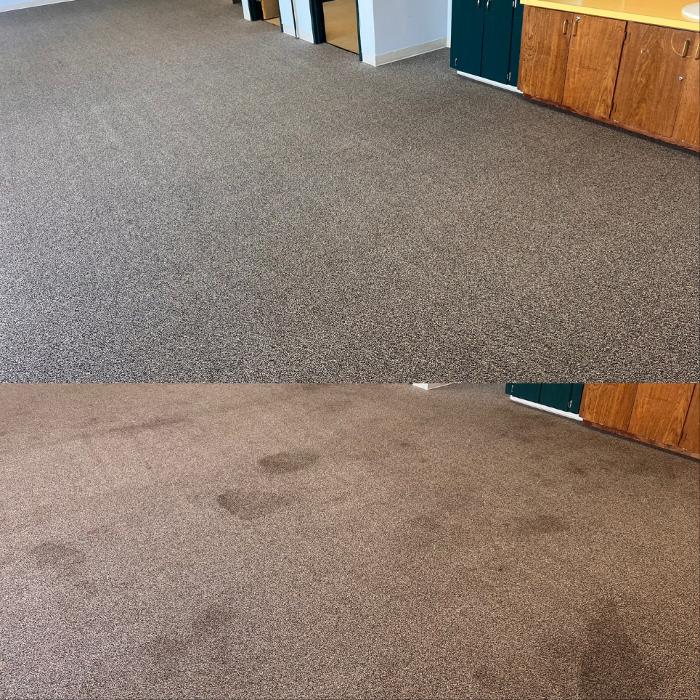 Driven Carpet Cleaning Image