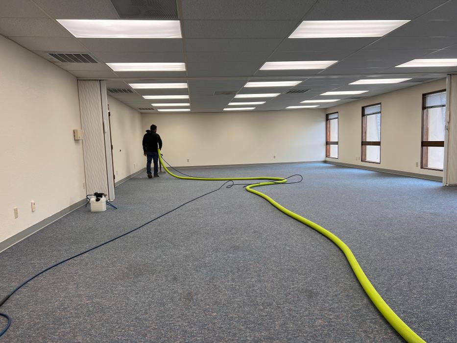 Driven Carpet Cleaning Image