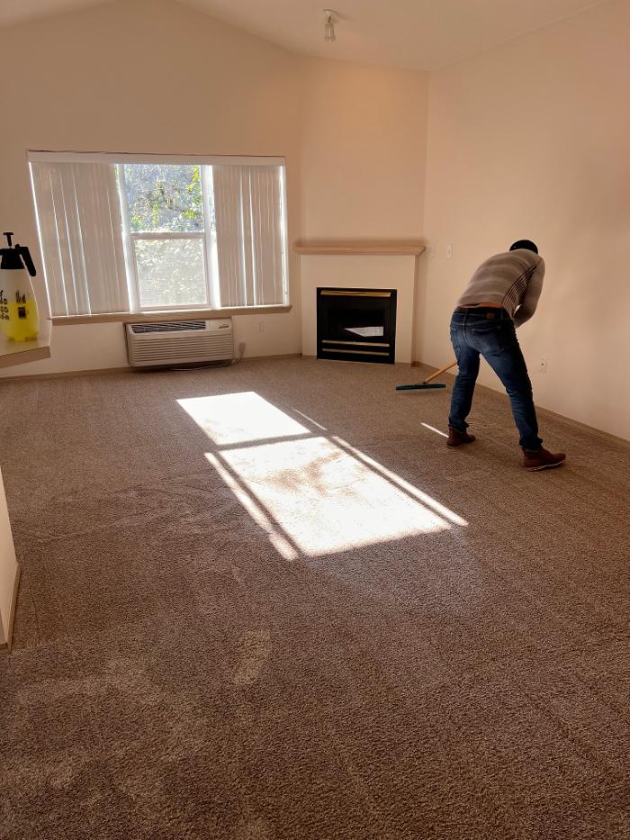 Driven Carpet Cleaning Image