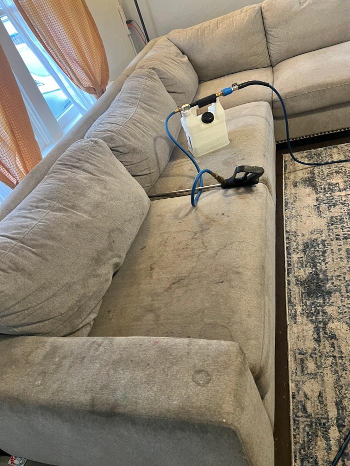 Driven Carpet Cleaning Image