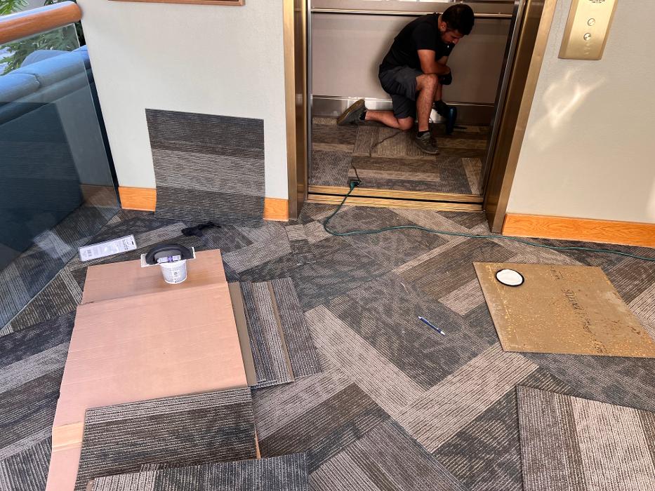 Driven Carpet Cleaning Image