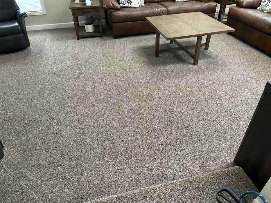 Driven Carpet Cleaning Image