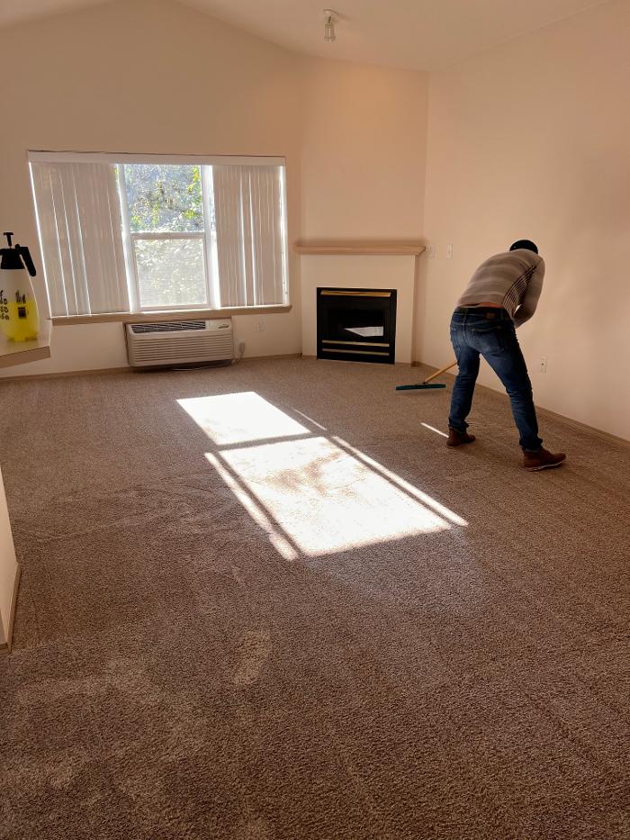 Driven Carpet Cleaning Image