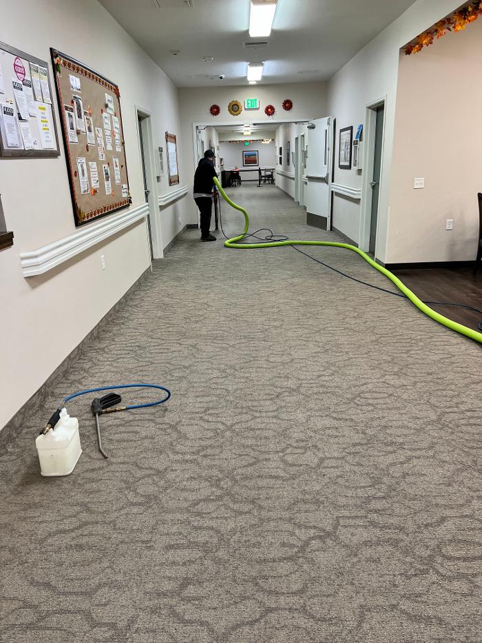 Driven Carpet Cleaning Image