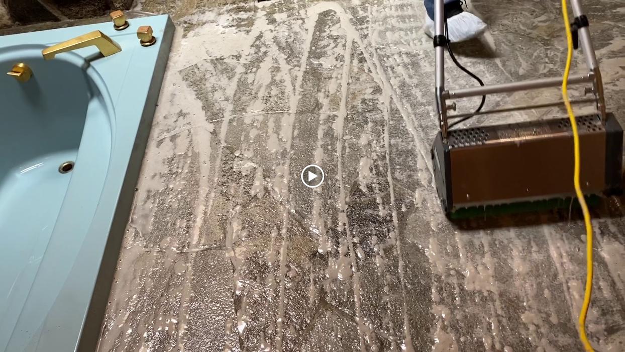 Driven Carpet Cleaning Image