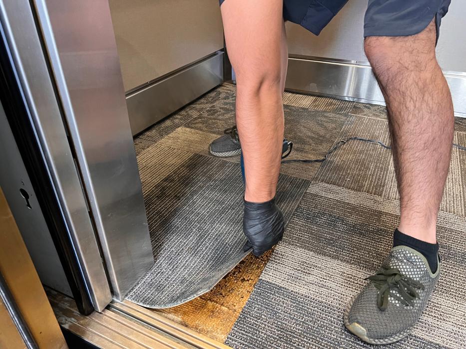 Driven Carpet Cleaning Image