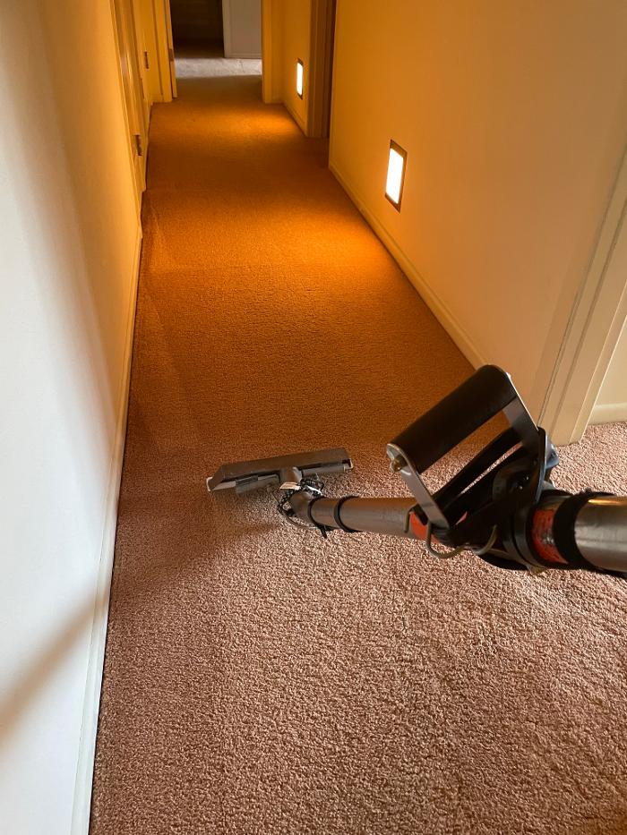Driven Carpet Cleaning Image