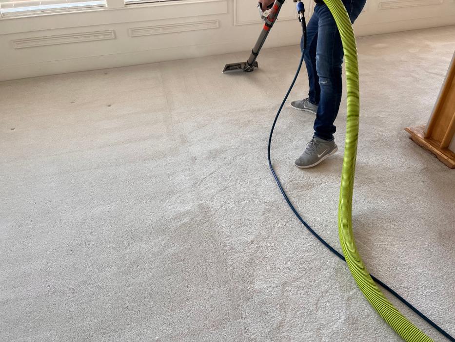Driven Carpet Cleaning Image