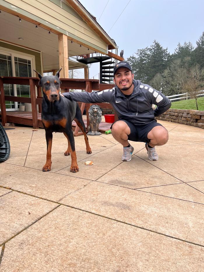 Driven Carpet Cleaning Image