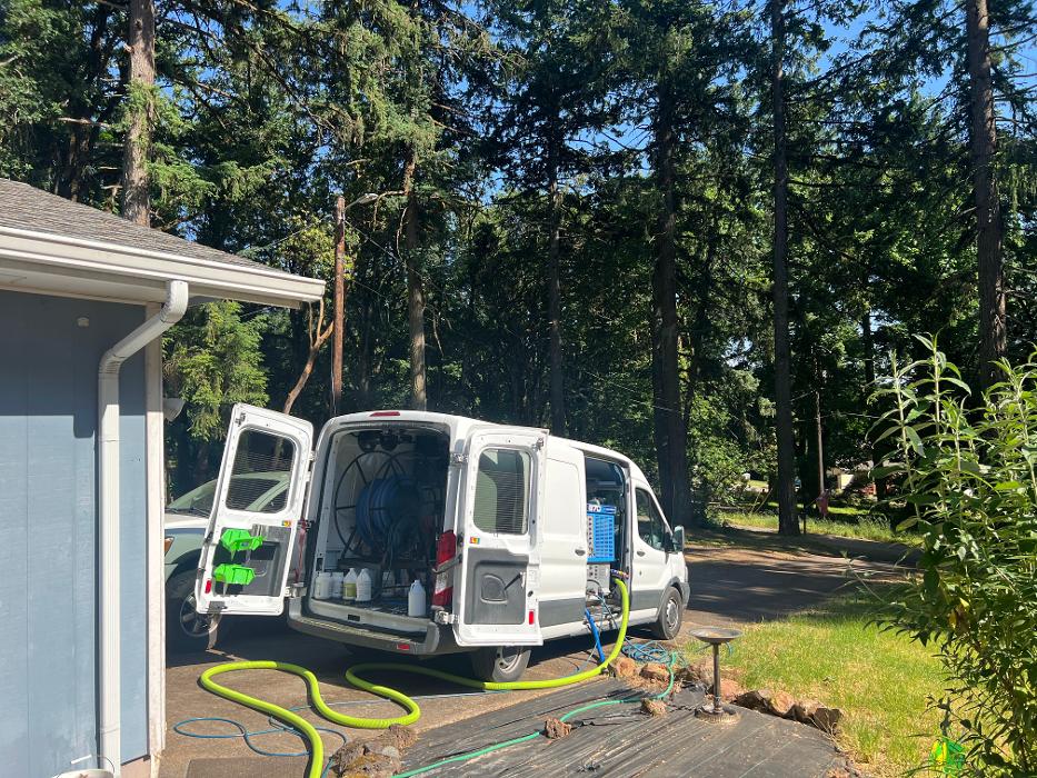 Driven Carpet Cleaning Image