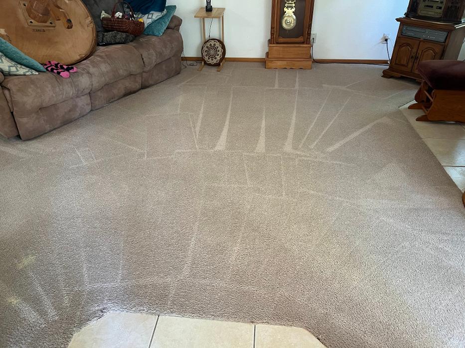 Driven Carpet Cleaning Image
