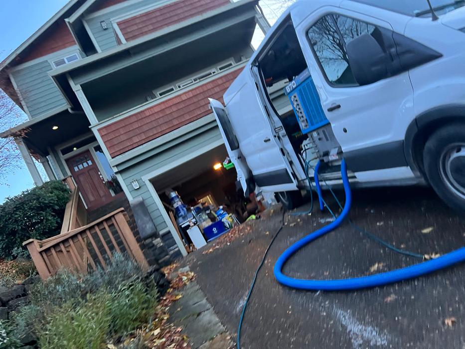 Driven Carpet Cleaning Image