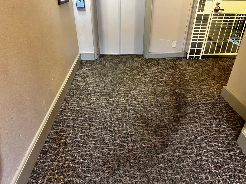 Driven Carpet Cleaning Image