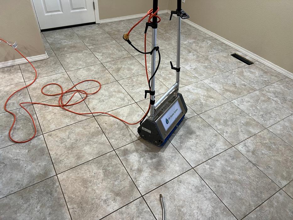 Driven Carpet Cleaning Image