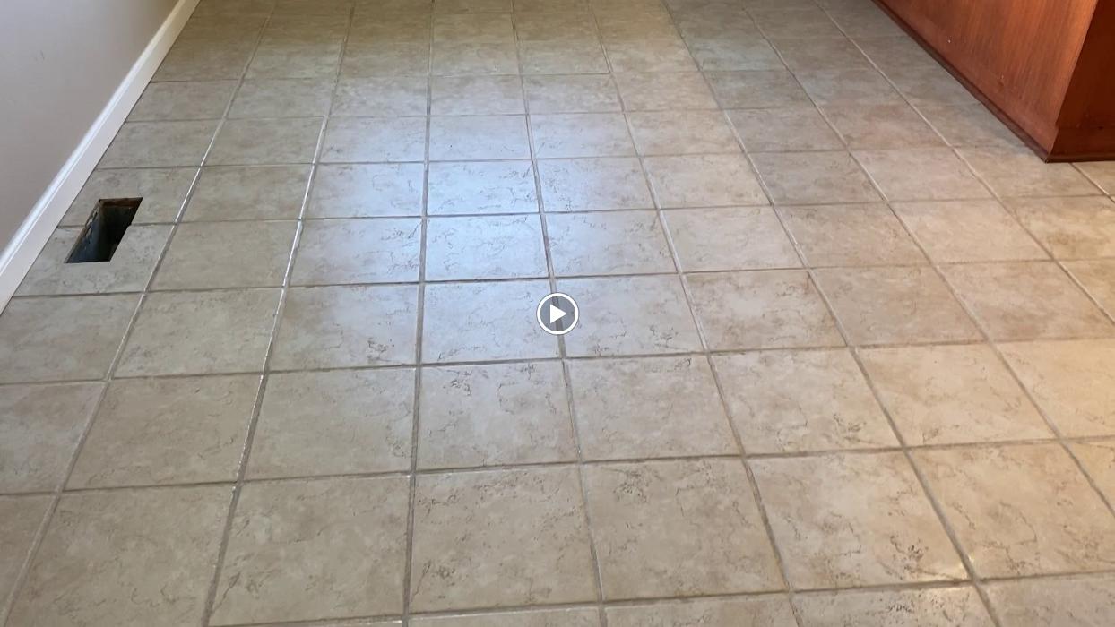 Driven Carpet Cleaning Image