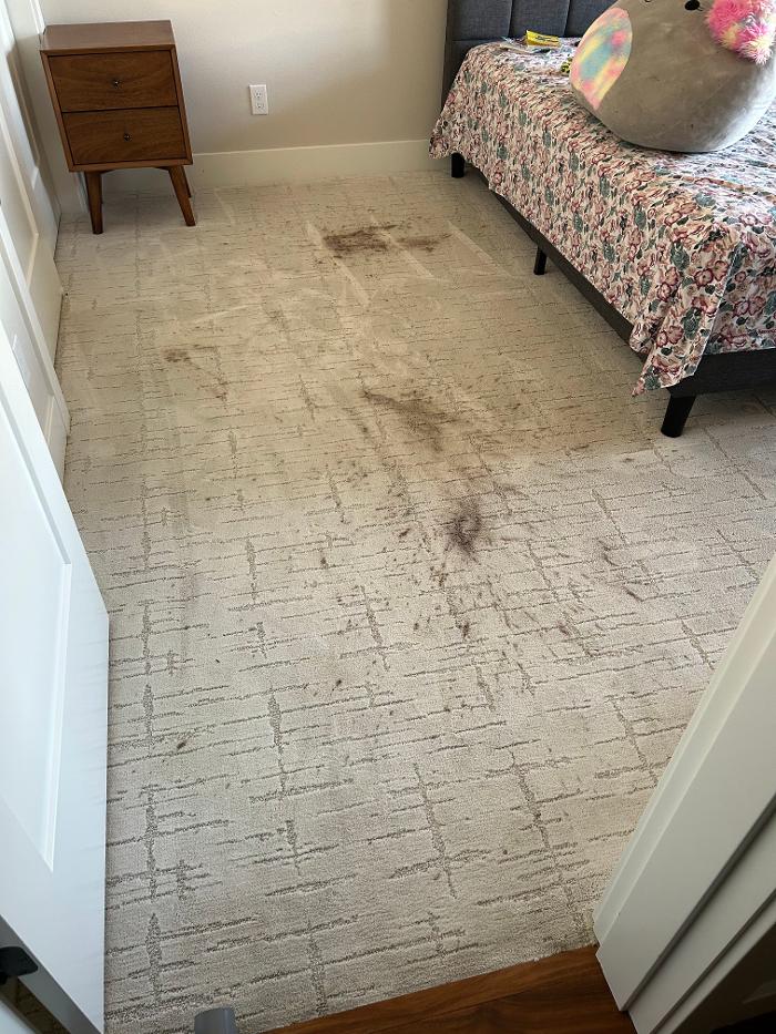 Driven Carpet Cleaning Image