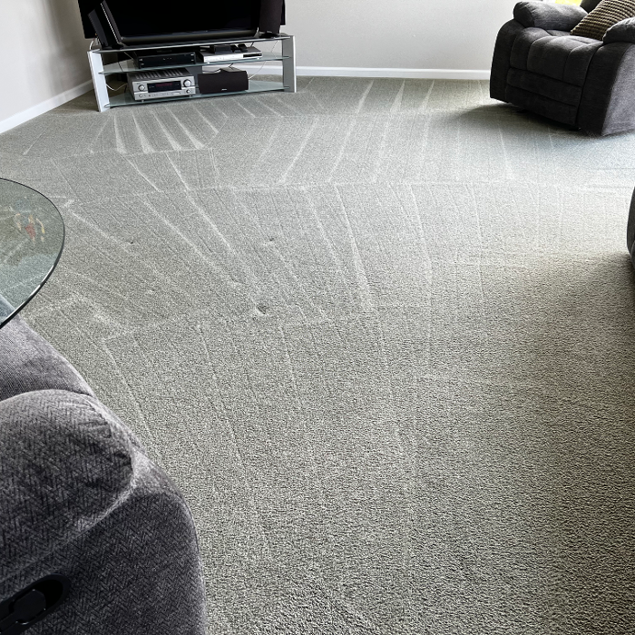 Driven Carpet Cleaning Image