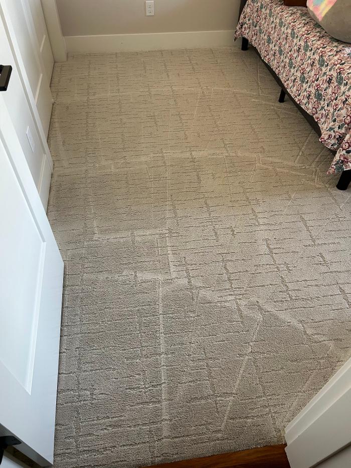 Driven Carpet Cleaning Image