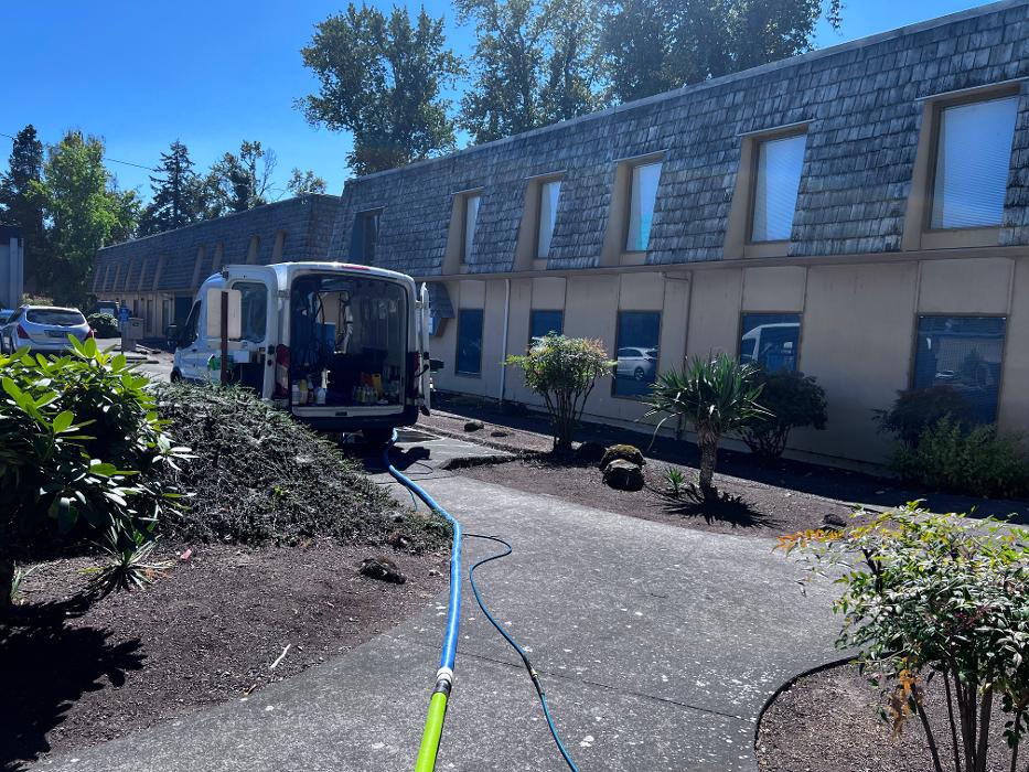 Driven Carpet Cleaning Image