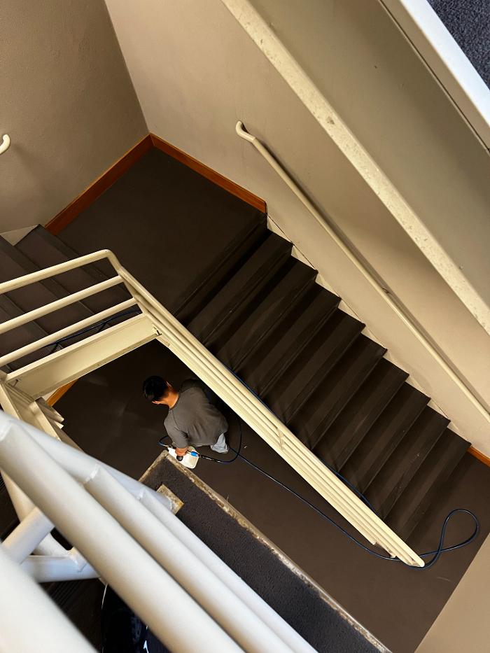 Driven Carpet Cleaning Image