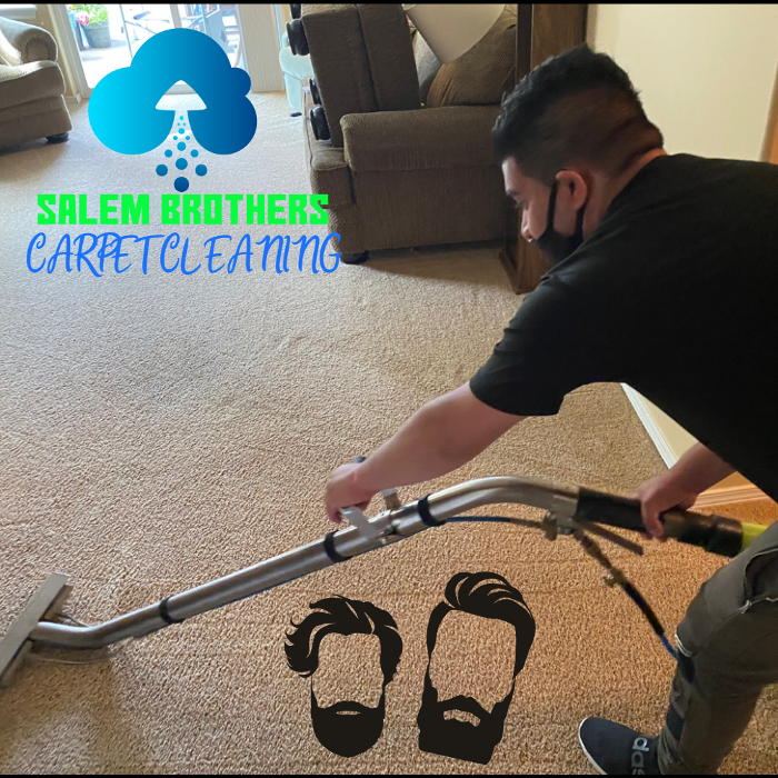 Driven Carpet Cleaning Image