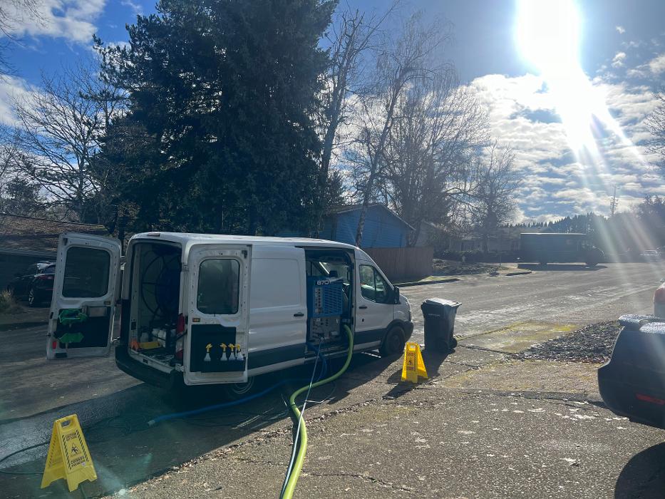 Driven Carpet Cleaning Image