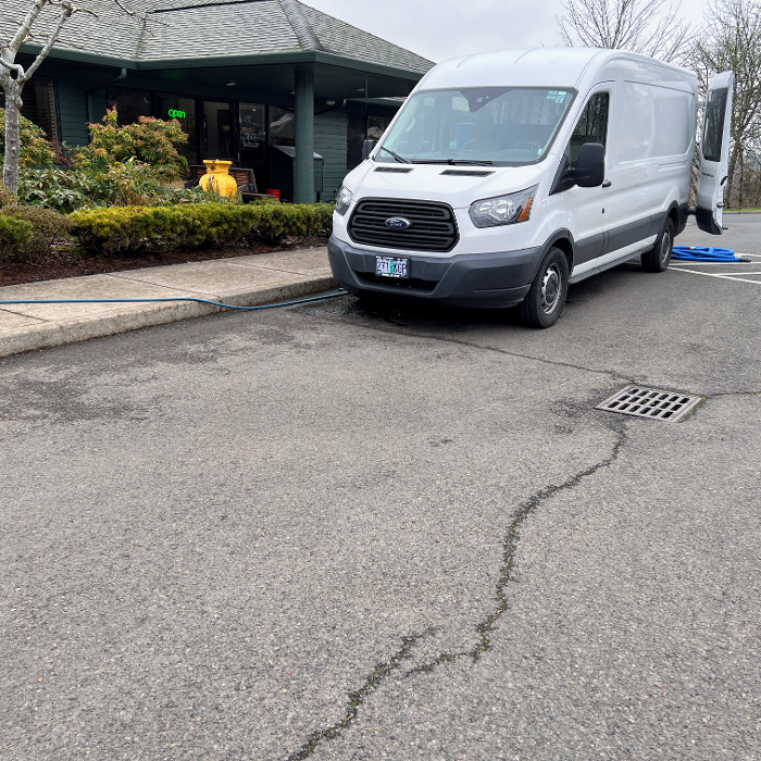 Driven Carpet Cleaning Image