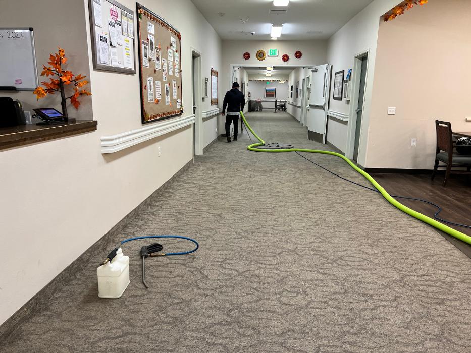 Driven Carpet Cleaning Image
