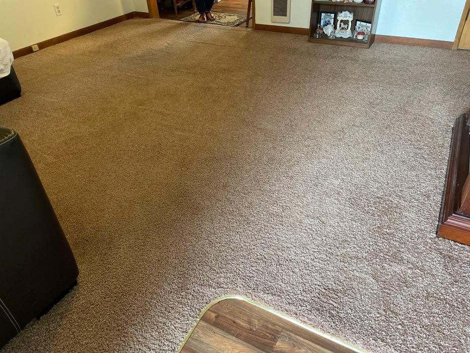 Driven Carpet Cleaning Image