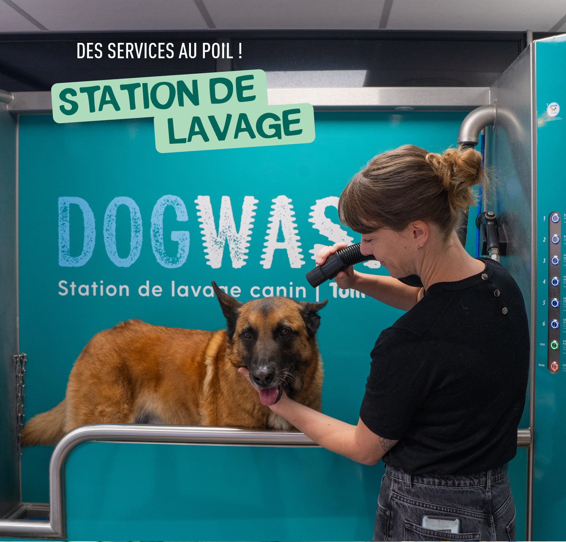 Miniature de la galerie