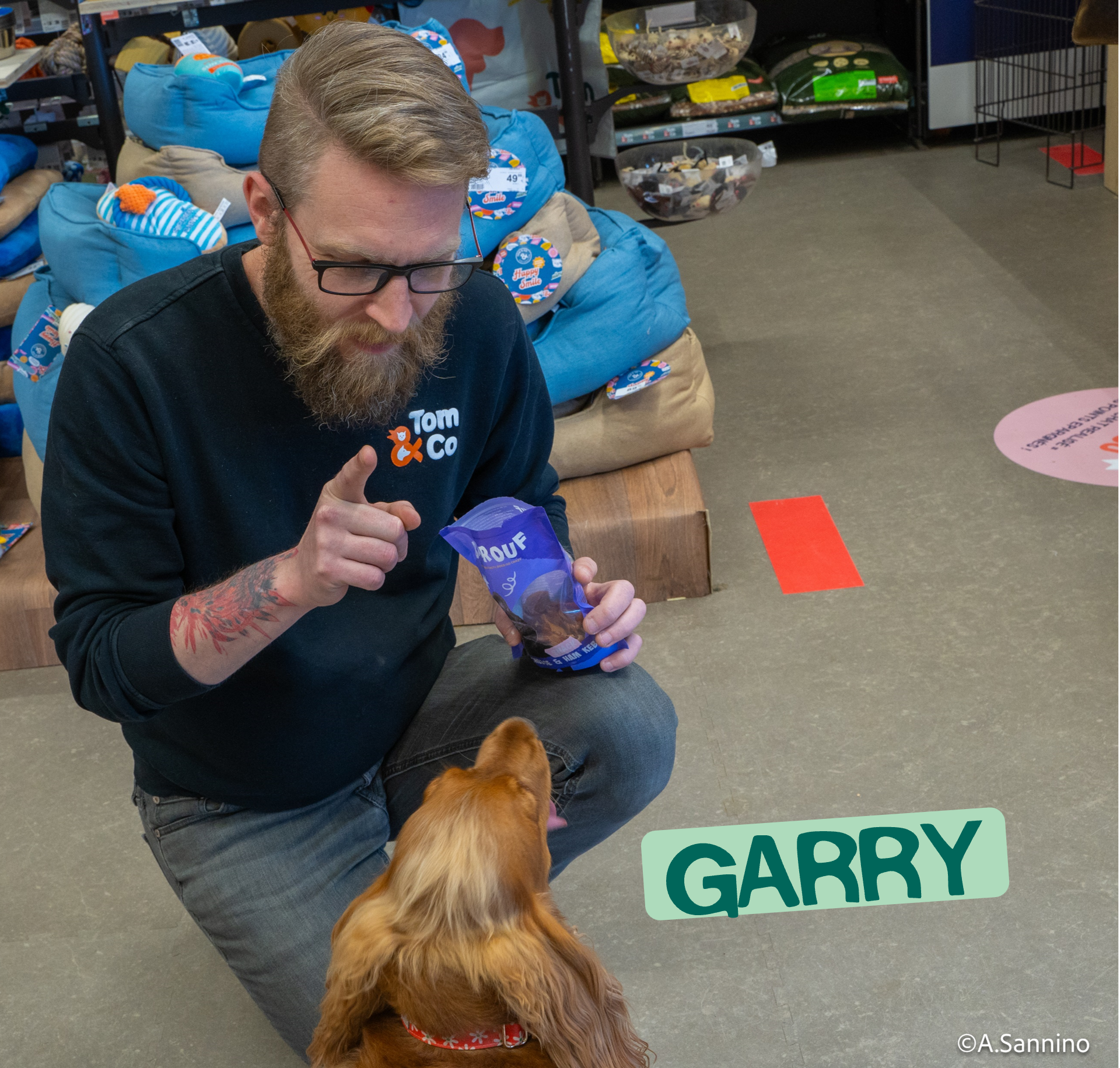 Miniature de la galerie