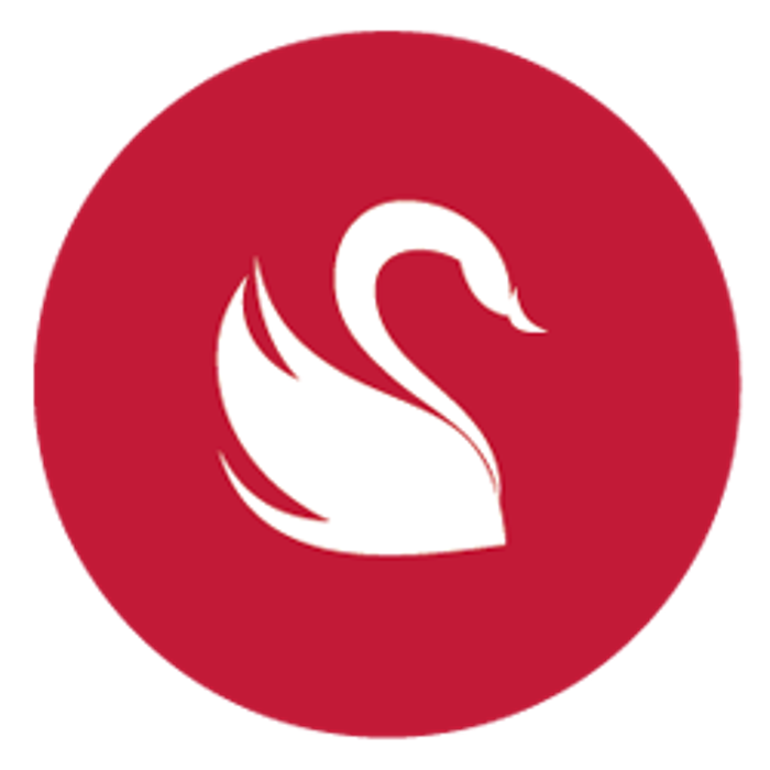 S-thetic Mannheim | Schönheitschirurgie & Ästhetische Behandlungen