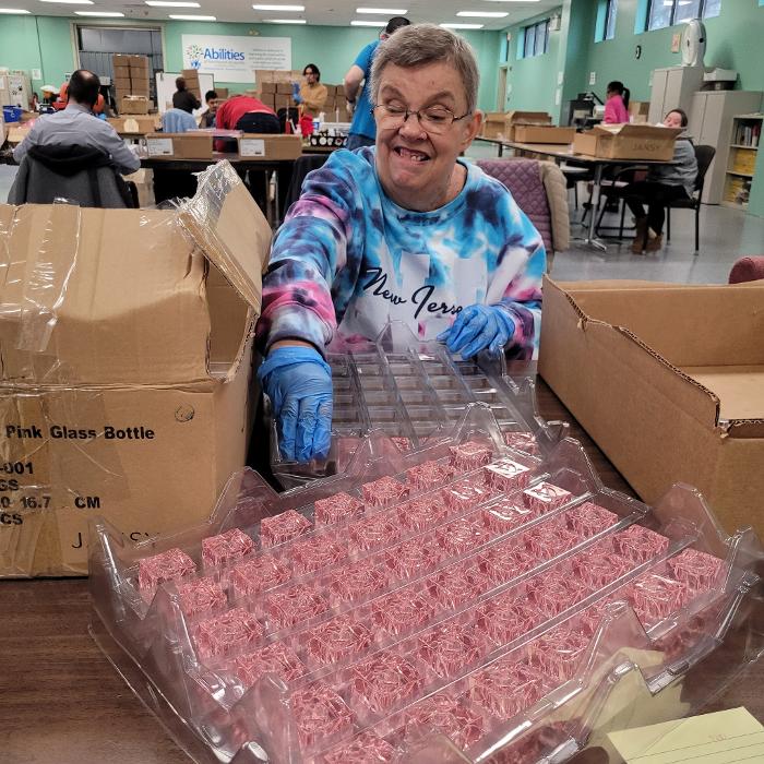 Abilities of Northwest Jersey Inc. Image