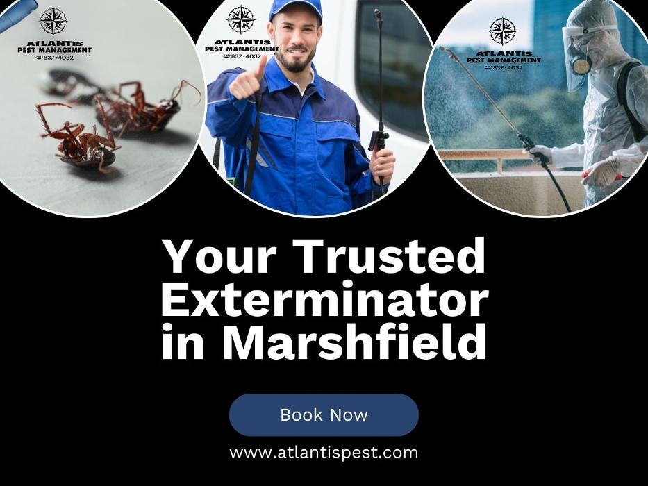Atlantis Pst Mgmt Inc - Marshfield, MA