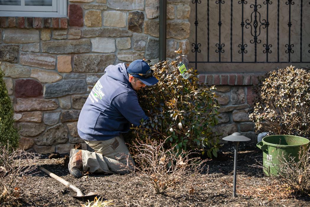 Landscape Solutions - Union, NJ